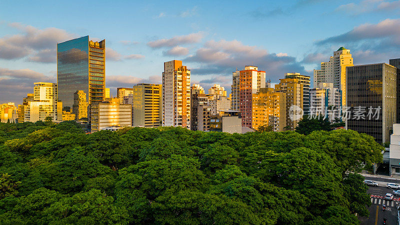 从<s:1>圣保罗城市上空俯瞰绿色空中区域和建筑